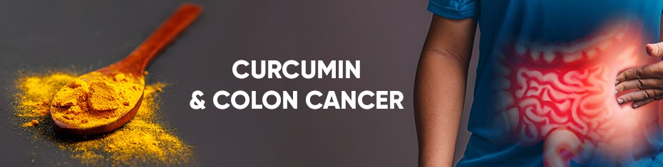 curcumin&cancer